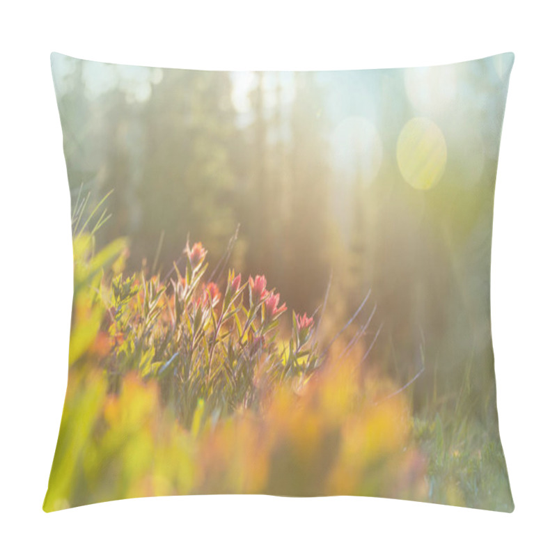 Personality  Mountain Meadow In Sunny Day. Natural Summer Landscape. Mountains In Alaska. Pillow Covers