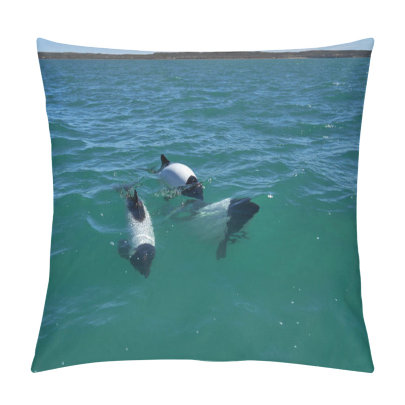 Personality  Black And White Commerson Dolphins Swimming In The Turquoise Water Of The Atlantic Ocean At The Coast Of Patagonia In Argentina, Showing Of Their Blow Hole And Dorsal Fin And Splashing Some Water, Also Known As Panda Dolphin Or Mini Orca Pillow Covers