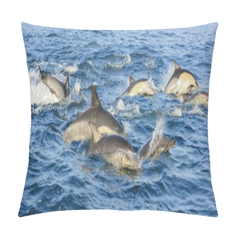 Personality  Group Of Dolphins, Swimming In The Ocean    Pillow Covers