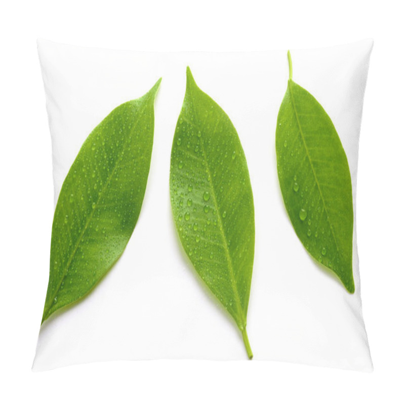 Personality  Fresh Wet Leaves Isolated On White Background, Top View Pillow Covers