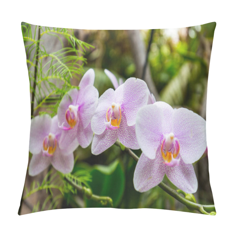 Personality  Beautiful Pink Orchids Pillow Covers