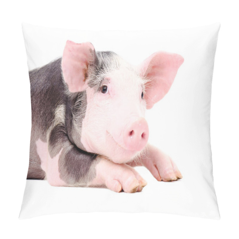 Personality  Portrait Of The Cute Little Pig Pillow Covers