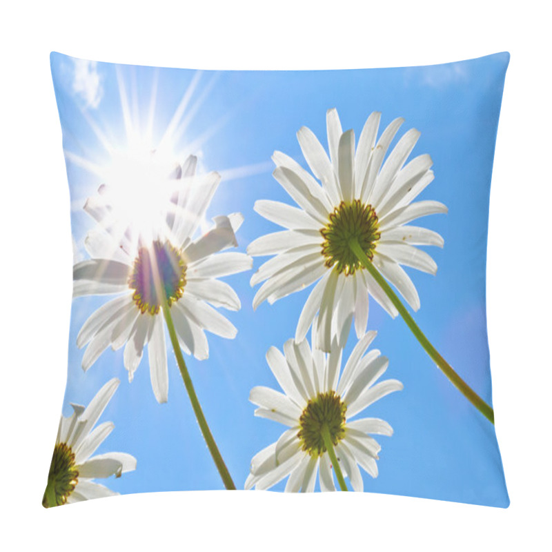 Personality  Daisy Flowers In Summer Pillow Covers