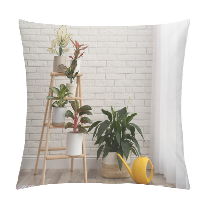 Personality  Exotic Houseplants With Beautiful Leaves And Decorative Ladder Near White Brick Wall In Room Pillow Covers