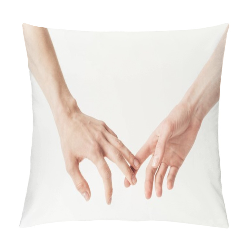 Personality  Lesbian Couple Holding Hands Pillow Covers