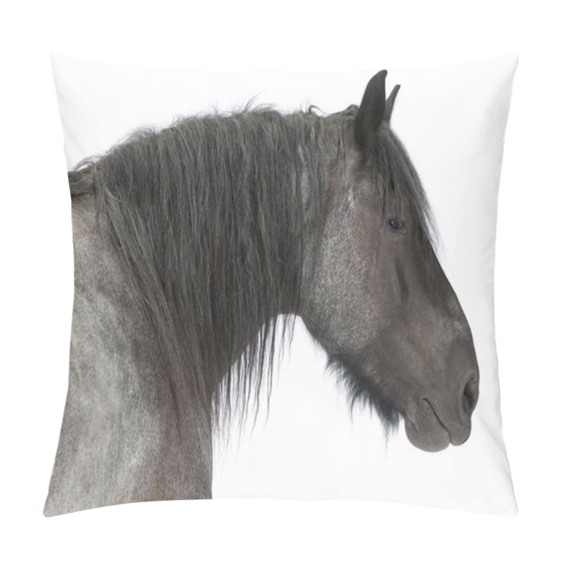 Personality  Belgian Horse, Belgian Heavy Horse, Brabancon, A Draft Horse Breed, Standing In Front Of White Background Pillow Covers