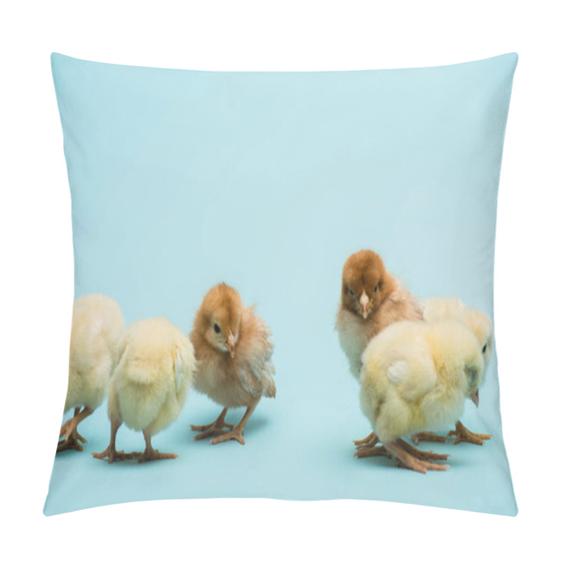 Personality  Cute Small Fluffy Chicks On Blue Background Pillow Covers