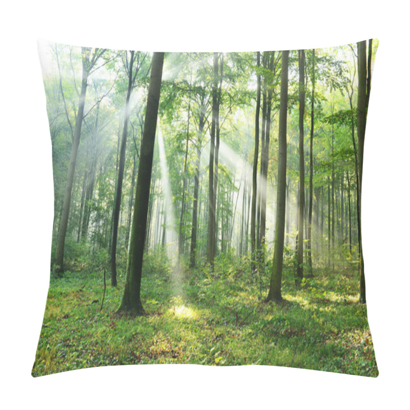 Personality  Beautiful Morning Sunbeams In Misty Forest Pillow Covers