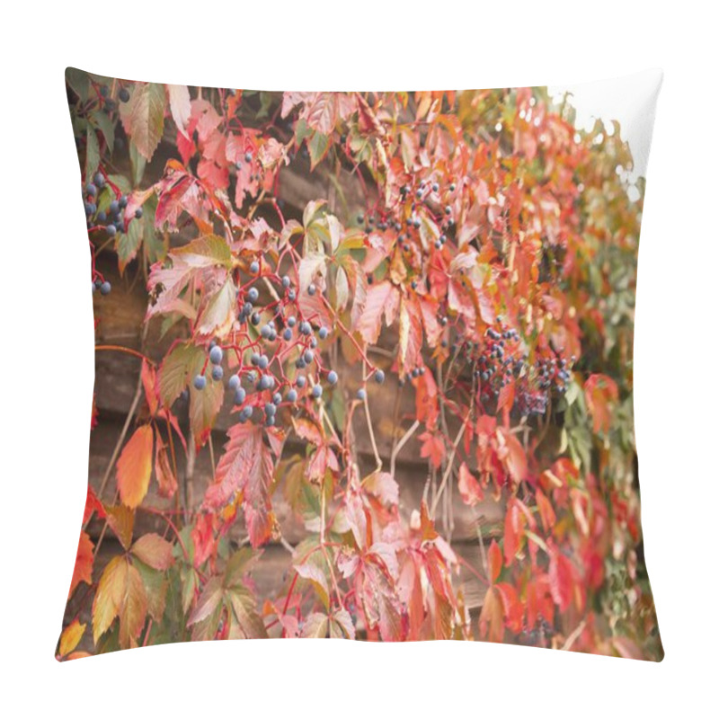 Personality  Rustic Wooden Wall With Red Autumn Leaves And Blue Berries Pillow Covers