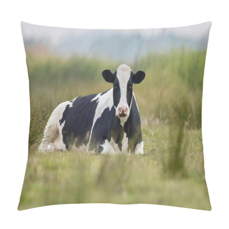 Personality  Dutch Black And White Cow Pillow Covers