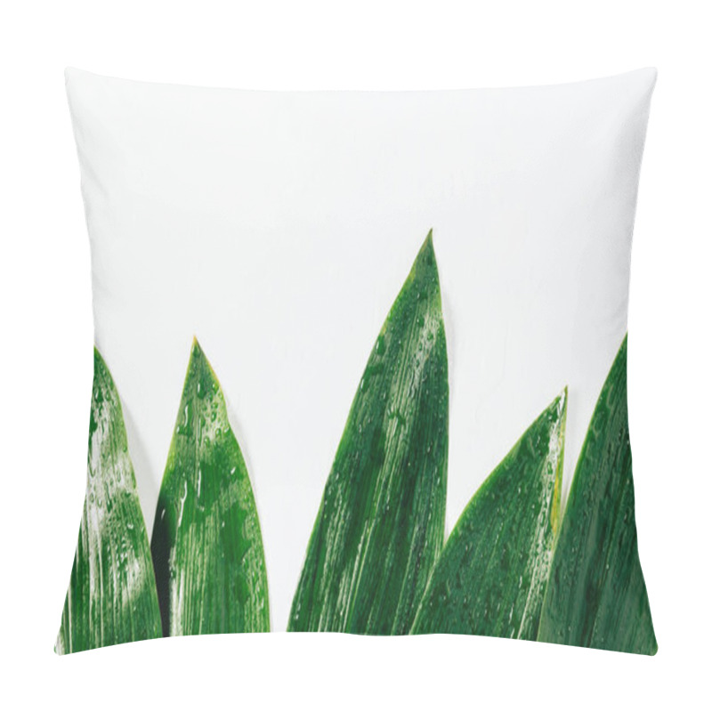 Personality  Top View Of Green Foliage With Water Drops On White Background Pillow Covers