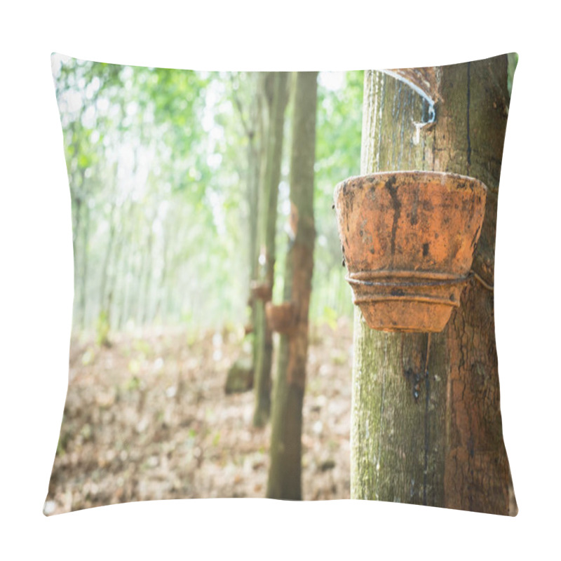 Personality  Rubber Latex From Rubber Tree  Pillow Covers