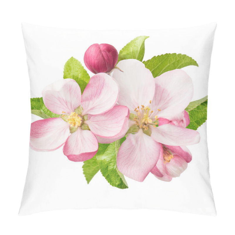 Personality  Apple Tree Blossoms. Spring Flowers Pillow Covers