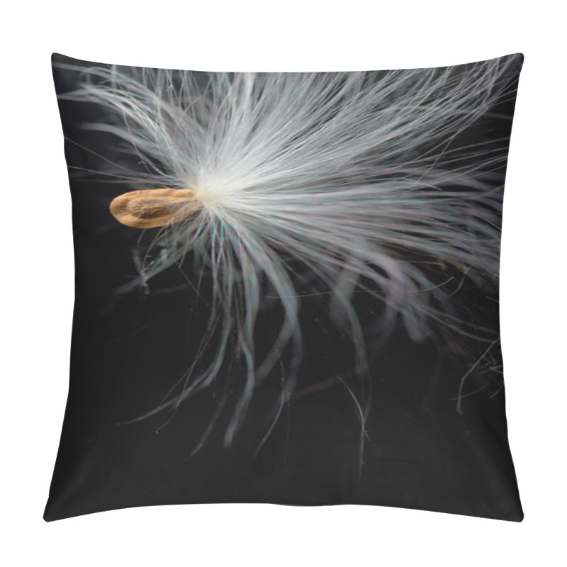 Personality  Single Milkweed Plant Seed Pillow Covers