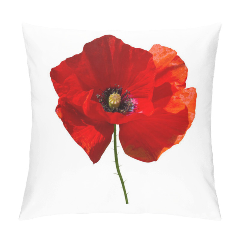 Personality  Red Poppy Isolated On White Background Pillow Covers