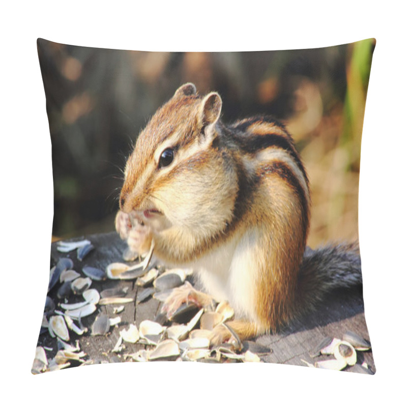 Personality  Chipmunk. Pillow Covers