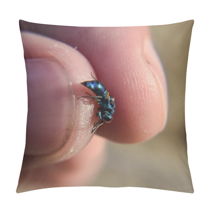 Personality  The Ruby - Tailed The Wasp Chrysis Ignita Pillow Covers