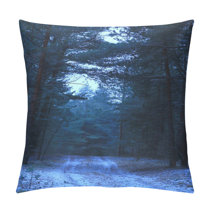 Personality  Evening In Winter Forest Landscape, View Of Dark Trees Mystic Pillow Covers