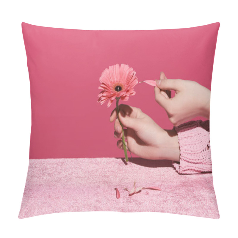 Personality  Cropped View Of Woman Picking Out Gerbera Petals On Velour Cloth Isolated On Pink, Girlish Concept  Pillow Covers