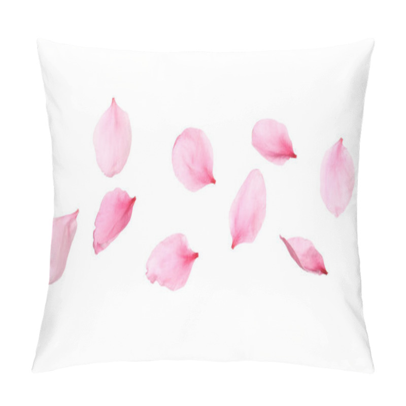 Personality  Beautiful Sakura Flower Petals On White Background Pillow Covers