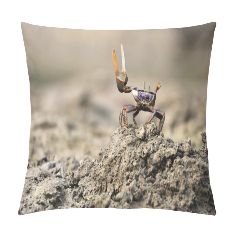 Personality  Uca Tangeri Crab Wildlife Concept Pillow Covers