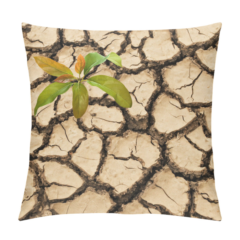 Personality  Avocado Seedling Growing From Barren Land Pillow Covers