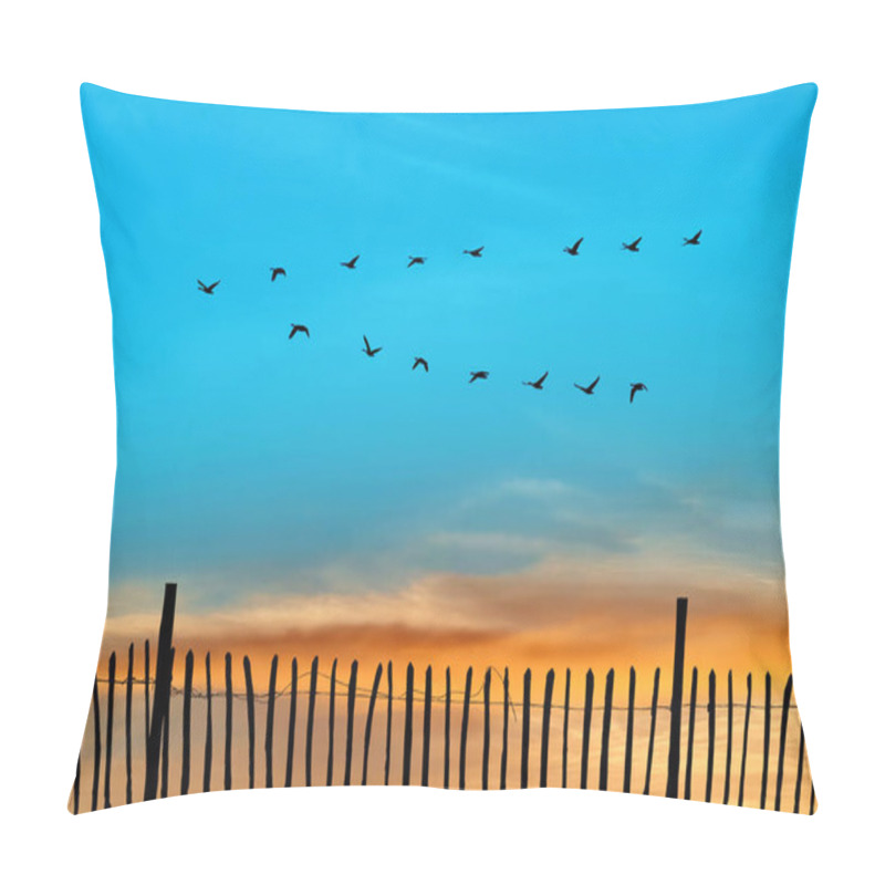 Personality  Flying Birds On Sunset Or Sunrise Natural Background Environment Or Ecology Concept Pillow Covers