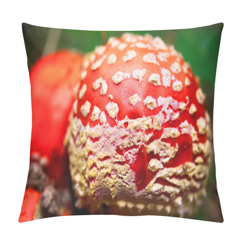 Personality  Fly Amanita Mushroom Pillow Covers