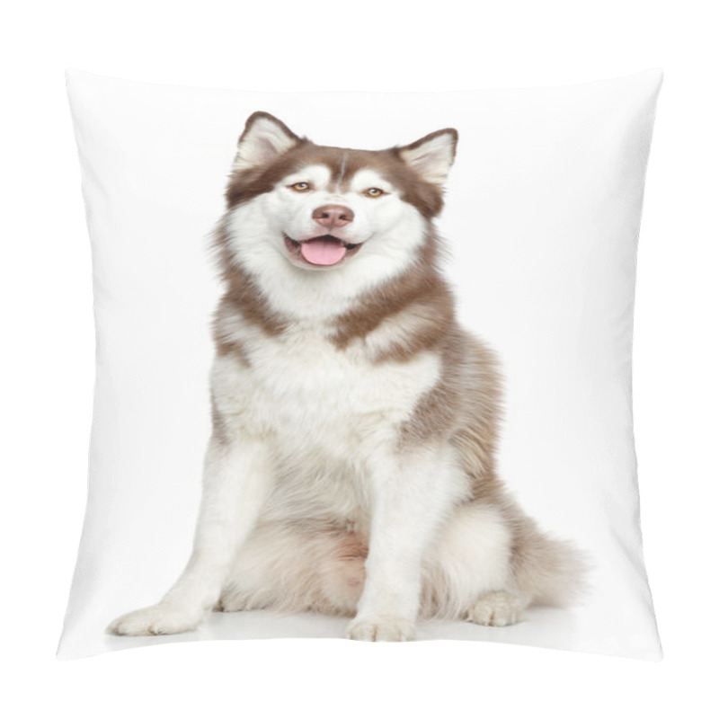 Personality  Siberian Husky Studio Portrait Pillow Covers