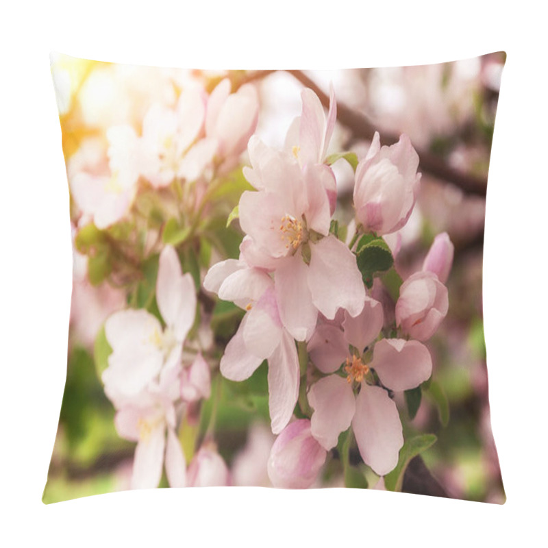 Personality  Blossoming Apple Blossoms In Early Spring In The Natural Environment. Pillow Covers