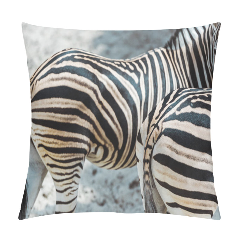 Personality  Selective Focus Of Zebras With Black And White Stripes Standing In Zoo  Pillow Covers