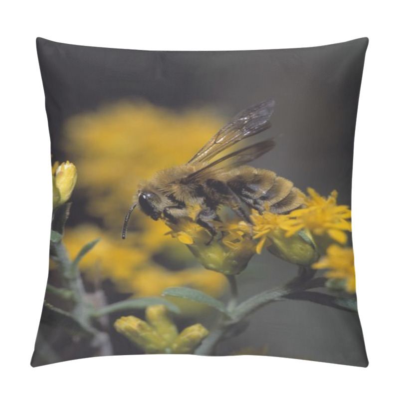 Personality  Bumblebee Pillow Covers