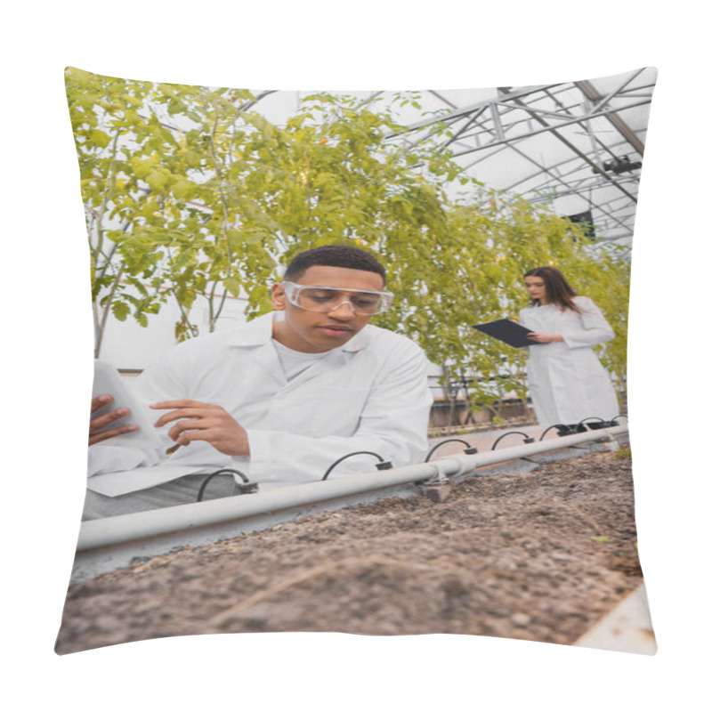 Personality  African American Botanist Using Digital Tablet Near Ground And Blurred Colleague In Greenhouse  Pillow Covers