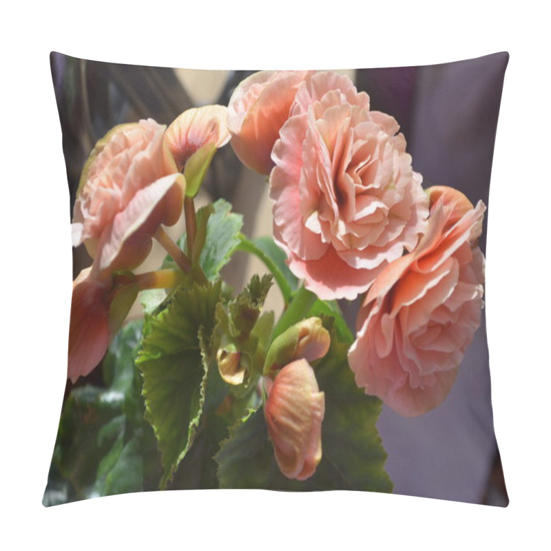 Personality  Pink Begonia Flowers Pillow Covers