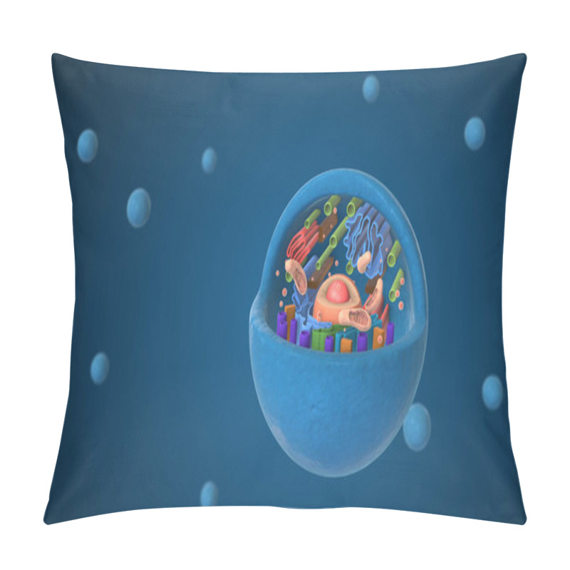 Personality  Biological Animal Cell With Organelles Pillow Covers