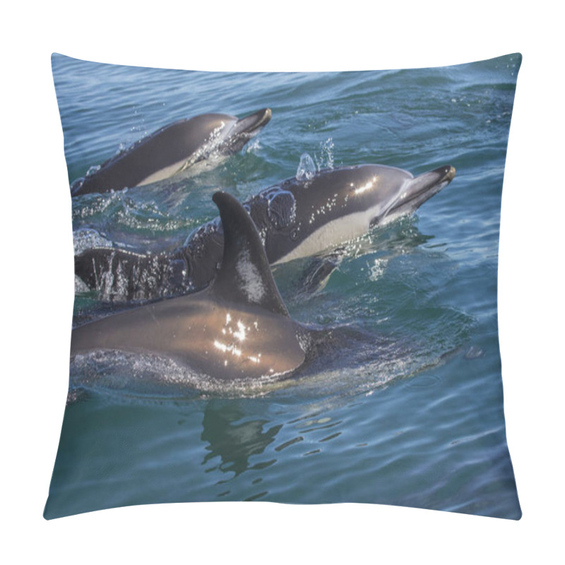 Personality  Dolphins Swimming In The Wild Pillow Covers