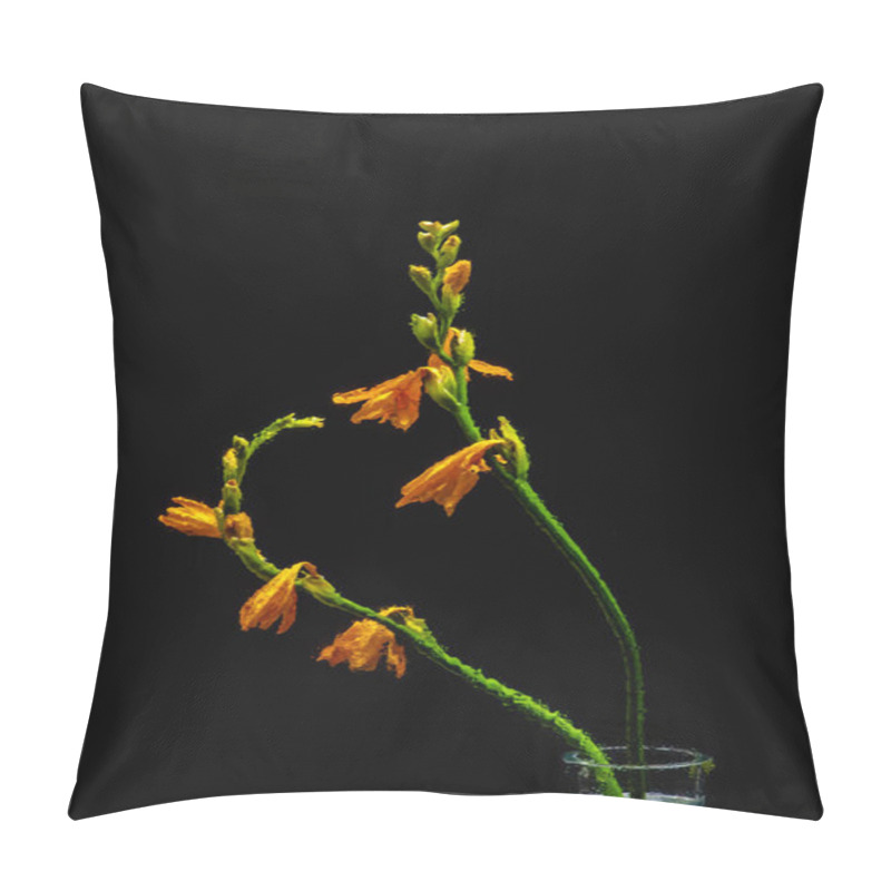 Personality  Wet Orange Lily Flowers And Buds On Green Stems In Transparent Vase Isolated On Black  Pillow Covers