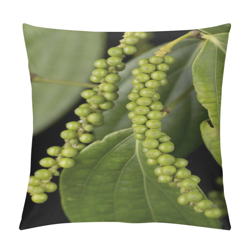 Personality  Green Peppercorns Or Piper Nigrum Pillow Covers