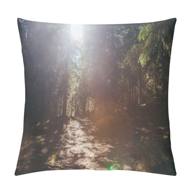 Personality  Beautiful Mountain Pathway In Forest Under Sunlight, Carpathians, Ukraine Pillow Covers