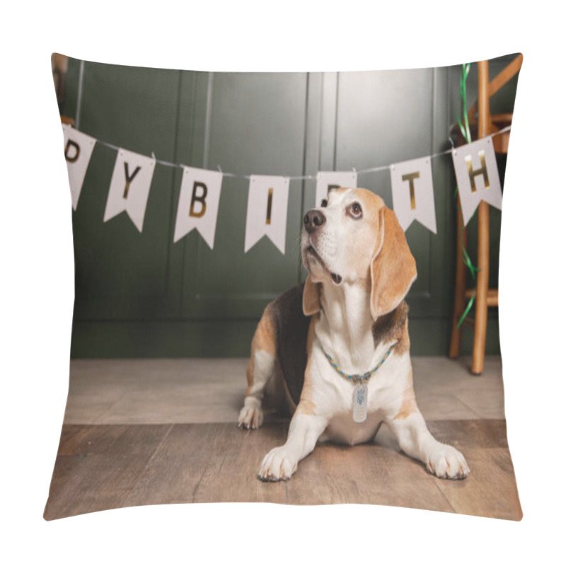 Personality  Dog Happy Birthday Party. Beagle Dog Breed. Happy Dog. Dog Party At Home Pillow Covers