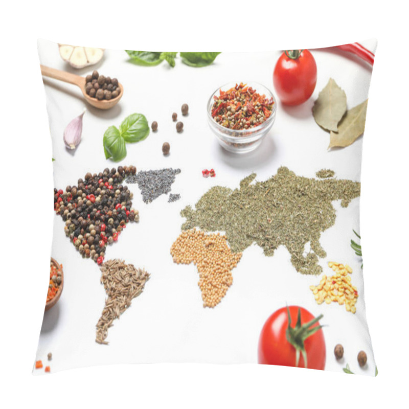 Personality  Map Of World Made From Different Kinds Of Spices Pillow Covers