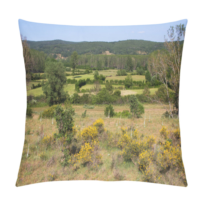 Personality  Landscape Of Meadows And Groves Pillow Covers