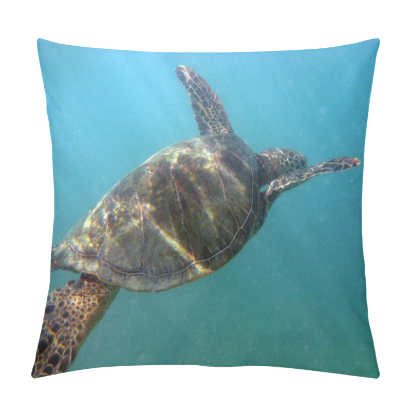 Personality  Hawaiian Sea Turtle Swims The Waters Of Waikiki Pillow Covers