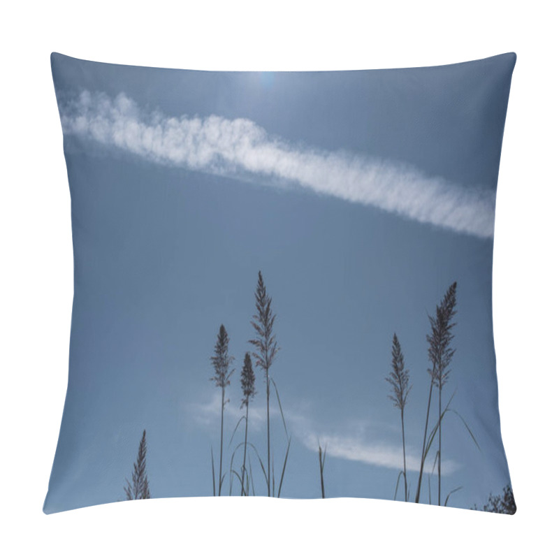 Personality  Stems Of Feather Reed Grass With Blue Sky And Clouds At Background Pillow Covers