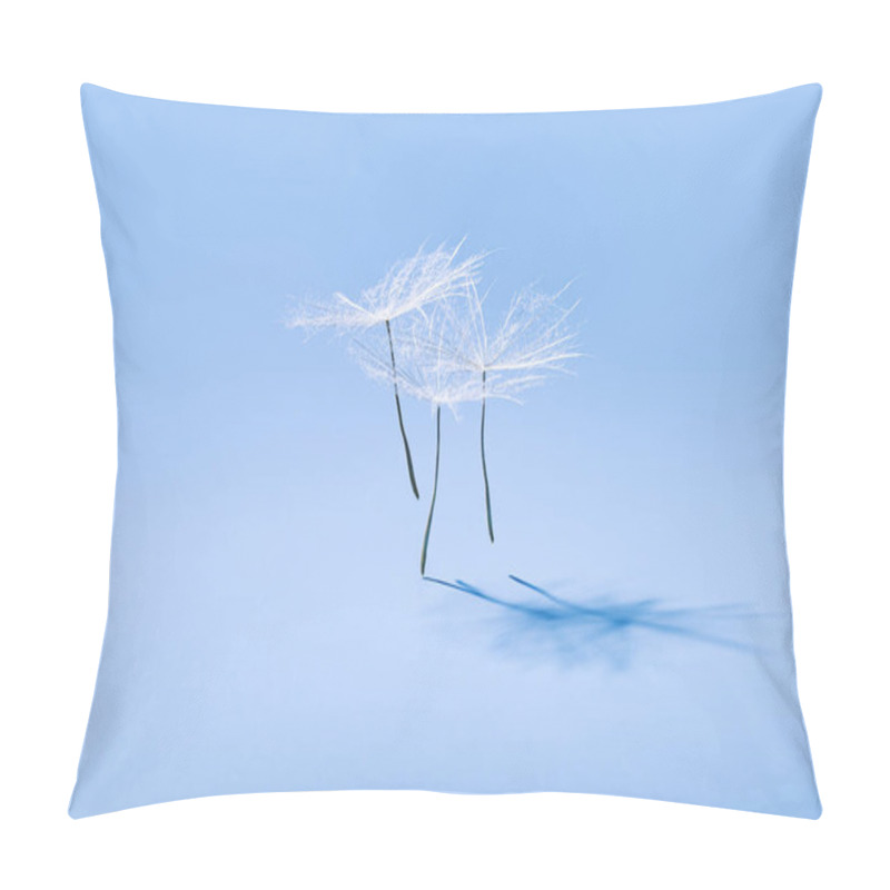 Personality  Close Up Macro White Fluffy Dandelion Seeds Heads With Detailed Lace-like Patterns, Natural Flying Or Dancing Flower On Soft Blue With Copy Space. Creative Nature Floral Composition, Minimal Style Pillow Covers