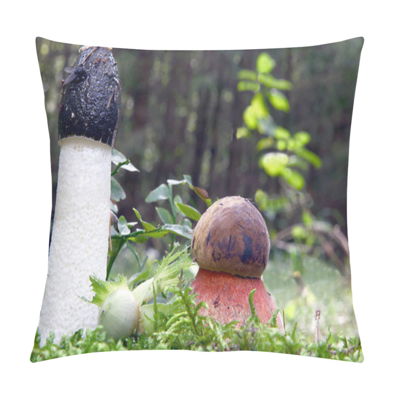 Personality  Flockenstieliger Witches And Stinkmorchel In The Forest Pillow Covers