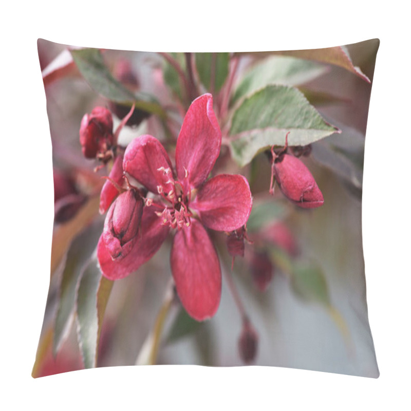 Personality  Flowers, Blooming Red Ornamental Apples Pillow Covers