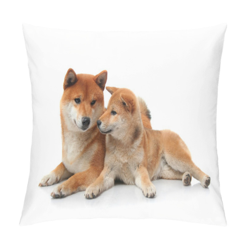 Personality  Two Shiba Inu Dogs On White Pillow Covers