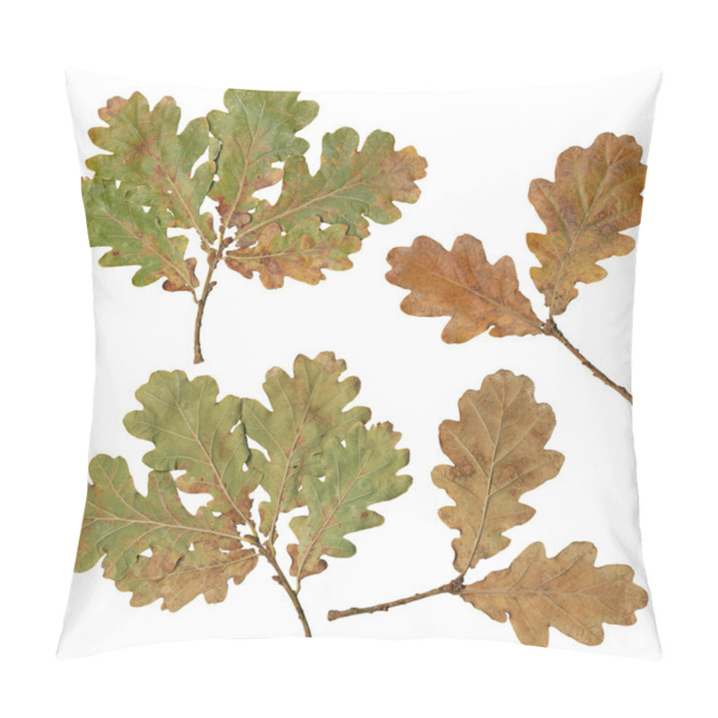 Personality  Oak Tree Leafs Isolated On White Background Pillow Covers