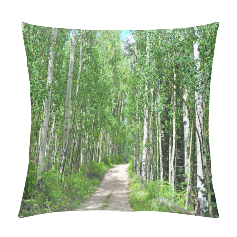 Personality  Path Through An Aspen Forest In The Mountains Pillow Covers